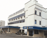 复层型弹性面漆