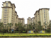 弹性复层型主材