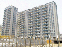 硬质拉毛韧性主材