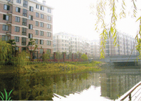 标准型内墙面漆