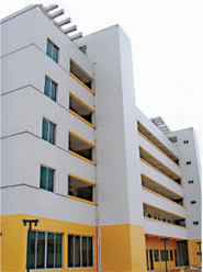 防霉抗碱封闭底漆